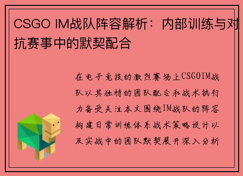 CSGO IM战队阵容解析：内部训练与对抗赛事中的默契配合